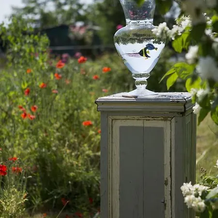 Bed & Breakfast Au Bois Briand *