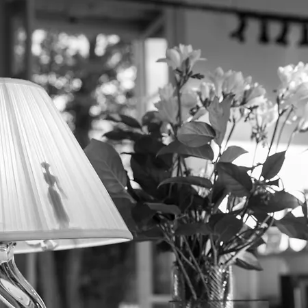 Bed & Breakfast Au Bois Briand *