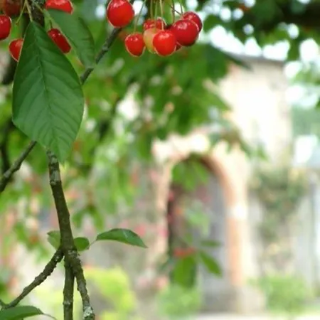 Bed & Breakfast Au Bois Briand Nantes