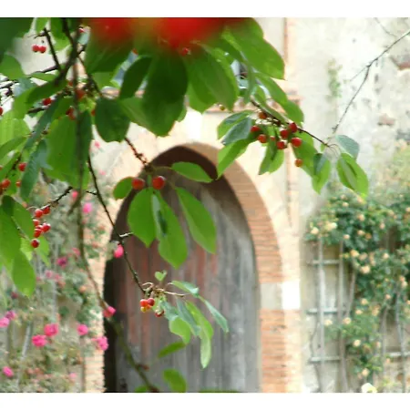 Bed & Breakfast Au Bois Briand